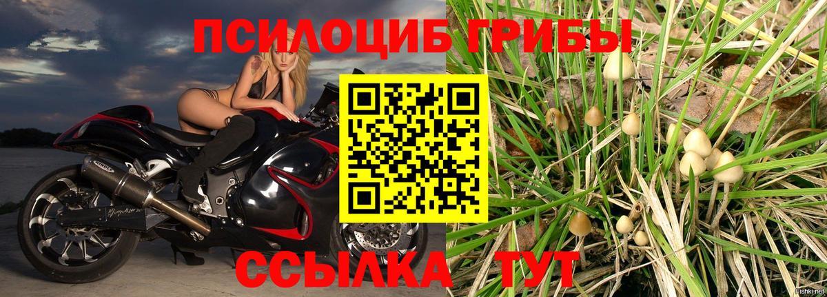 купить закладку  Галлюциногенные грибы ЛСД  Вход с VPN  Каменск-Уральский 