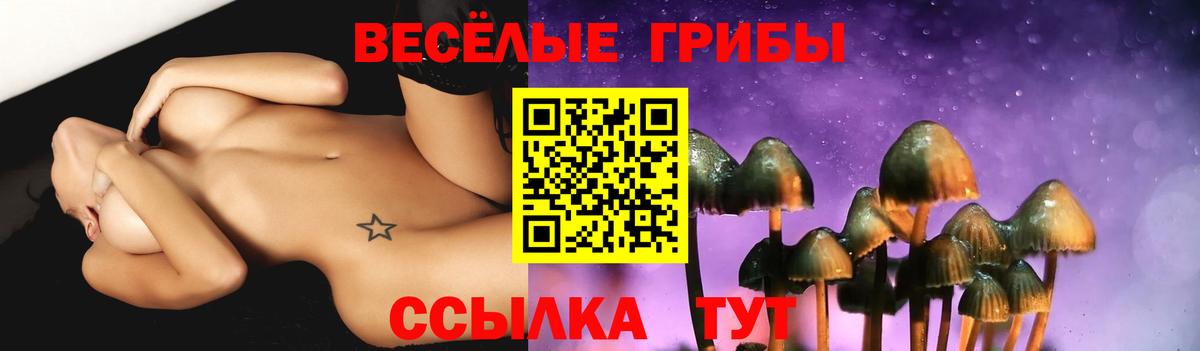 Галлюциногенные грибы Psilocybine cubensis Каменск-Уральский